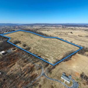 Photo #4 of NEIGHBORS LN, TIMBERVILLE, VA 50.2 acres