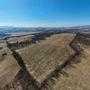 Photo #2 of NEIGHBORS LN, TIMBERVILLE, VA 50.2 acres