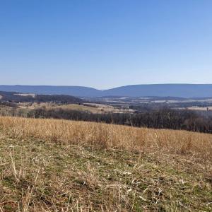 Photo #42 of NEIGHBORS LN, TIMBERVILLE, VA 50.2 acres