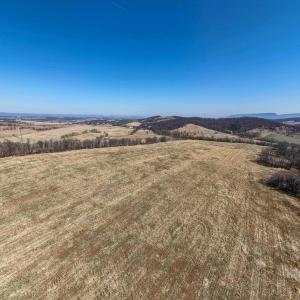 Photo #10 of NEIGHBORS LN, TIMBERVILLE, VA 50.2 acres