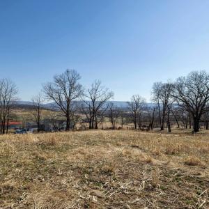 Photo #29 of NEIGHBORS LN, TIMBERVILLE, VA 50.2 acres