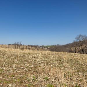 Photo #28 of NEIGHBORS LN, TIMBERVILLE, VA 50.2 acres