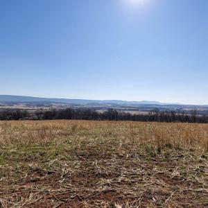 Photo #40 of NEIGHBORS LN, TIMBERVILLE, VA 50.2 acres