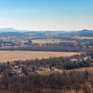 Photo #49 of NEIGHBORS LN, TIMBERVILLE, VA 50.2 acres
