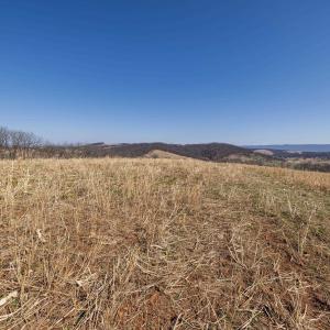 Photo #43 of NEIGHBORS LN, TIMBERVILLE, VA 50.2 acres