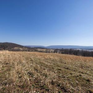 Photo #33 of NEIGHBORS LN, TIMBERVILLE, VA 50.2 acres