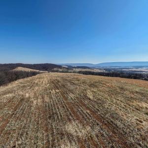 Photo #14 of NEIGHBORS LN, TIMBERVILLE, VA 50.2 acres