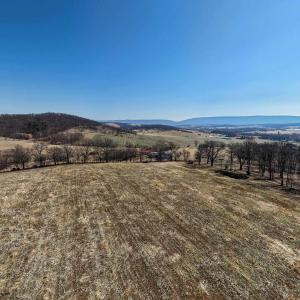Photo #11 of NEIGHBORS LN, TIMBERVILLE, VA 50.2 acres