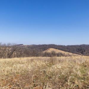 Photo #46 of NEIGHBORS LN, TIMBERVILLE, VA 50.2 acres