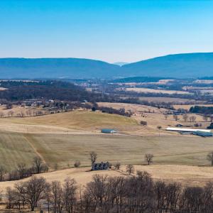 Photo #48 of NEIGHBORS LN, TIMBERVILLE, VA 50.2 acres