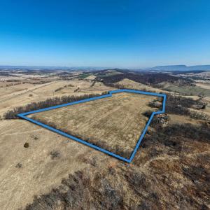 Photo #6 of NEIGHBORS LN, TIMBERVILLE, VA 50.2 acres
