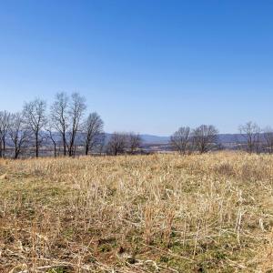 Photo #37 of NEIGHBORS LN, TIMBERVILLE, VA 50.2 acres