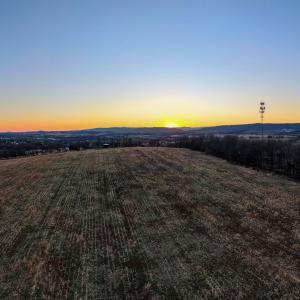 Photo #63 of NEIGHBORS LN, TIMBERVILLE, VA 50.2 acres