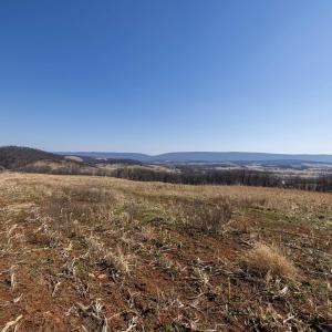 Photo #47 of NEIGHBORS LN, TIMBERVILLE, VA 50.2 acres