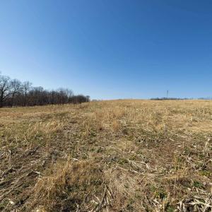 Photo #27 of NEIGHBORS LN, TIMBERVILLE, VA 50.2 acres