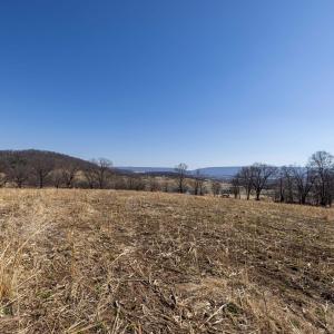 Photo #31 of NEIGHBORS LN, TIMBERVILLE, VA 50.2 acres