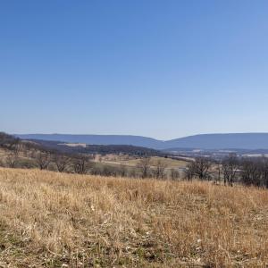 Photo #36 of NEIGHBORS LN, TIMBERVILLE, VA 50.2 acres