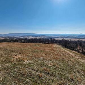 Photo #16 of NEIGHBORS LN, TIMBERVILLE, VA 50.2 acres
