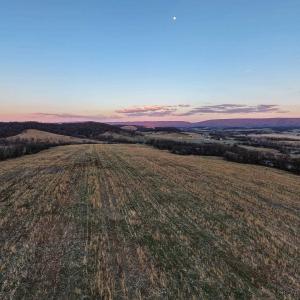 Photo #55 of NEIGHBORS LN, TIMBERVILLE, VA 50.2 acres