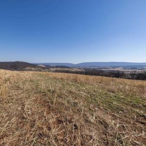 Photo #41 of NEIGHBORS LN, TIMBERVILLE, VA 50.2 acres
