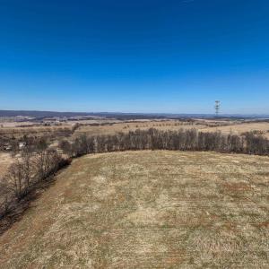 Photo #13 of NEIGHBORS LN, TIMBERVILLE, VA 50.2 acres