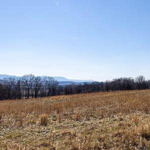 Photo #35 of NEIGHBORS LN, TIMBERVILLE, VA 50.2 acres