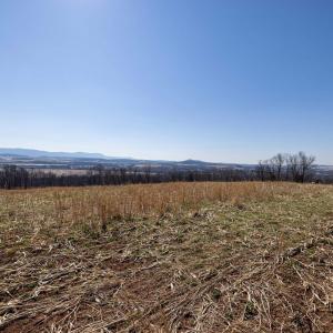 Photo #38 of NEIGHBORS LN, TIMBERVILLE, VA 50.2 acres
