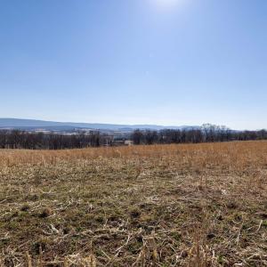 Photo #34 of NEIGHBORS LN, TIMBERVILLE, VA 50.2 acres