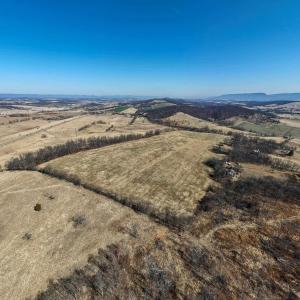 Photo #7 of NEIGHBORS LN, TIMBERVILLE, VA 50.2 acres