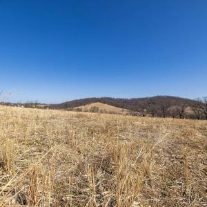 Photo #30 of NEIGHBORS LN, TIMBERVILLE, VA 50.2 acres