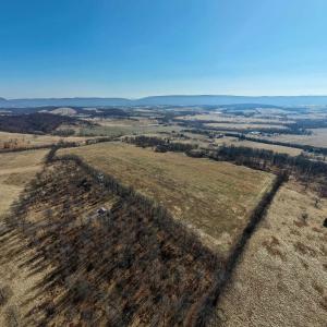 Photo #9 of NEIGHBORS LN, TIMBERVILLE, VA 50.2 acres