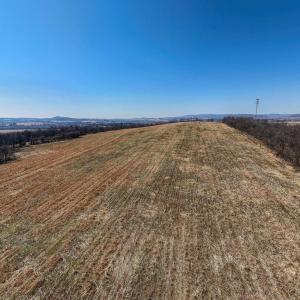 Photo #21 of NEIGHBORS LN, TIMBERVILLE, VA 50.2 acres