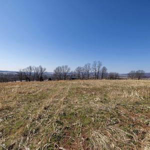 Photo #44 of NEIGHBORS LN, TIMBERVILLE, VA 50.2 acres