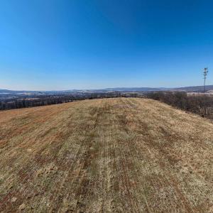 Photo #22 of NEIGHBORS LN, TIMBERVILLE, VA 50.2 acres