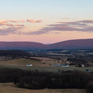 Photo #56 of NEIGHBORS LN, TIMBERVILLE, VA 50.2 acres