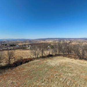 Photo #25 of NEIGHBORS LN, TIMBERVILLE, VA 50.2 acres