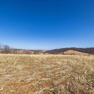 Photo #32 of NEIGHBORS LN, TIMBERVILLE, VA 50.2 acres
