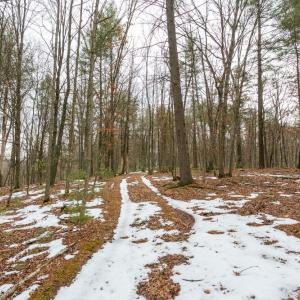 Photo #3 of Lot 44 RAINBOW RIDGE RD, BERGTON, VA 16.6 acres