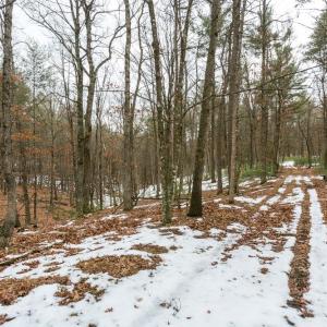 Photo #4 of Lot 44 RAINBOW RIDGE RD, BERGTON, VA 16.6 acres