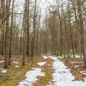 Photo #5 of Lot 44 RAINBOW RIDGE RD, BERGTON, VA 16.6 acres