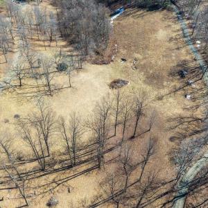 Photo #11 of 1376C WYATT MOUNTAIN RD, DYKE, VA 8.0 acres