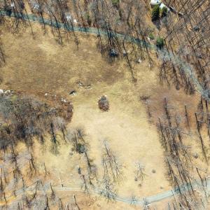 Photo #12 of 1376C WYATT MOUNTAIN RD, DYKE, VA 8.0 acres