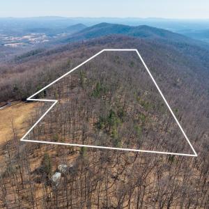 Photo #1 of 1376D WYATT MOUNTAIN RD, DYKE, VA 8.0 acres