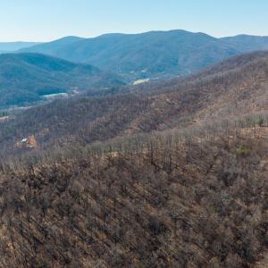 Photo #3 of 1376D WYATT MOUNTAIN RD, DYKE, VA 8.0 acres