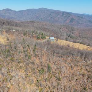 Photo #7 of 1376D WYATT MOUNTAIN RD, DYKE, VA 8.0 acres