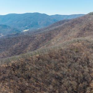 Photo #4 of 1376D WYATT MOUNTAIN RD, DYKE, VA 8.0 acres