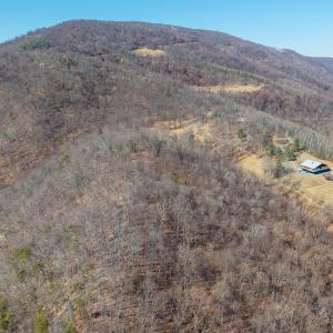 Photo #6 of 1376D WYATT MOUNTAIN RD, DYKE, VA 8.0 acres