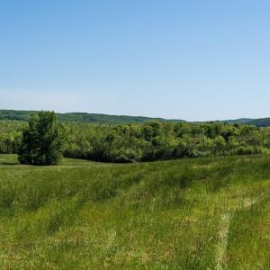 Photo #3 of 4332 HALIFAX RD, CHATHAM, VA 228.0 acres