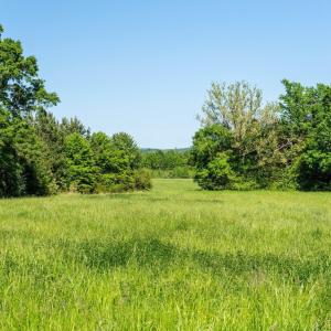 Photo #4 of 4332 HALIFAX RD, CHATHAM, VA 228.0 acres