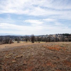 Photo #10 of Lot 199 COLCHESTER CT, ROCKINGHAM, VA 0.6 acres